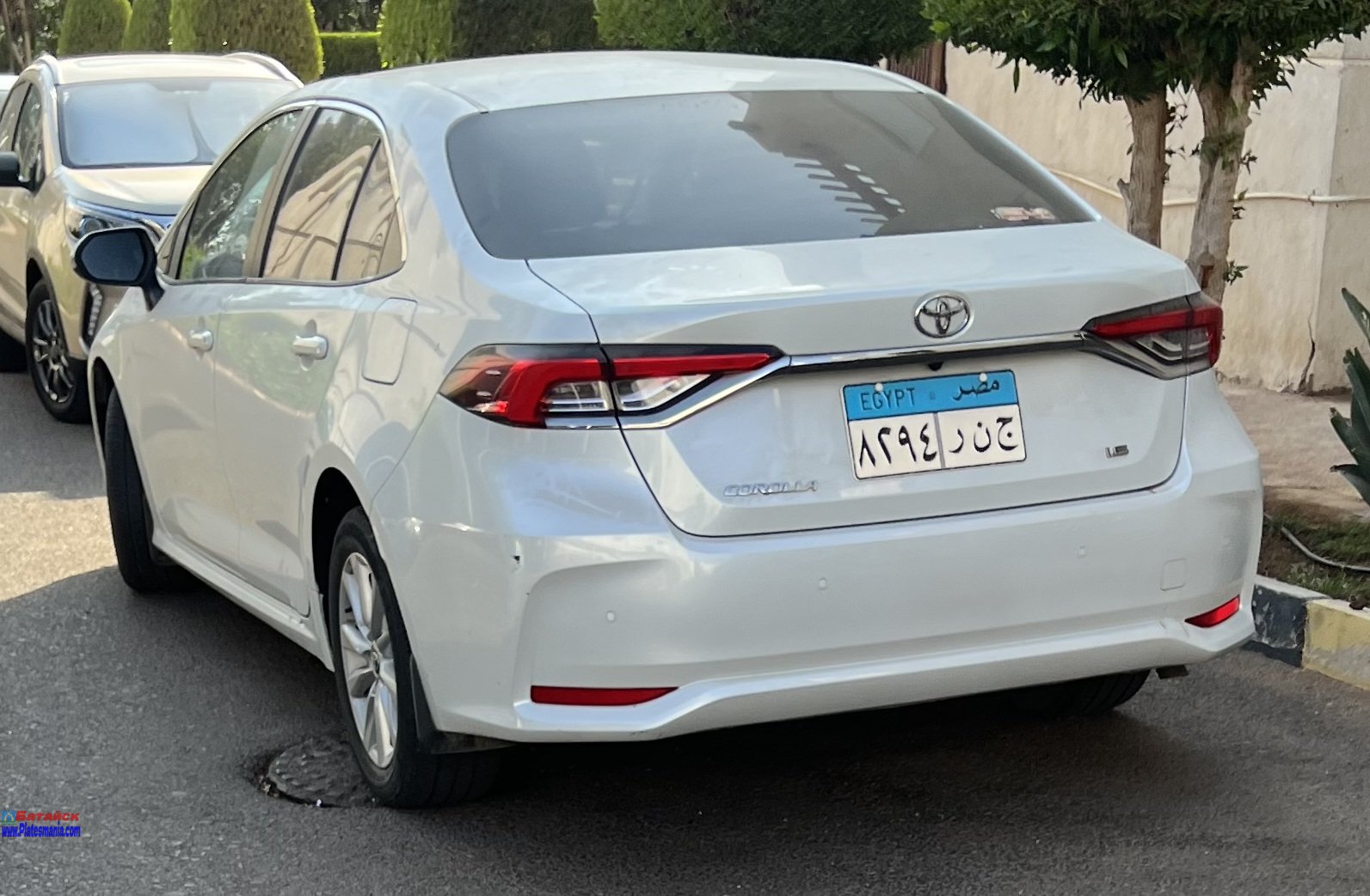 ٨٢٩٤ رنج, Toyota Corolla 12th gen (Altis) Sedan (E210; Global-market), 2019–
