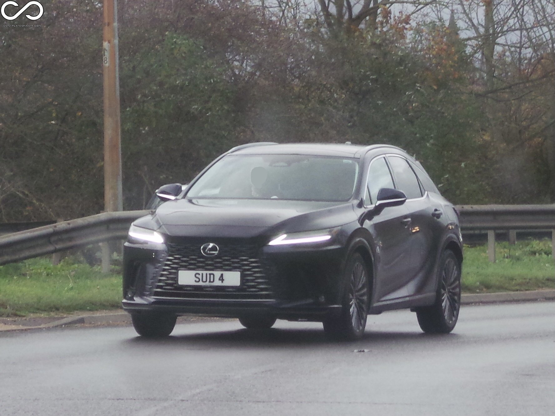 SUD4, Lexus RX 5th gen (AL30), 2022–