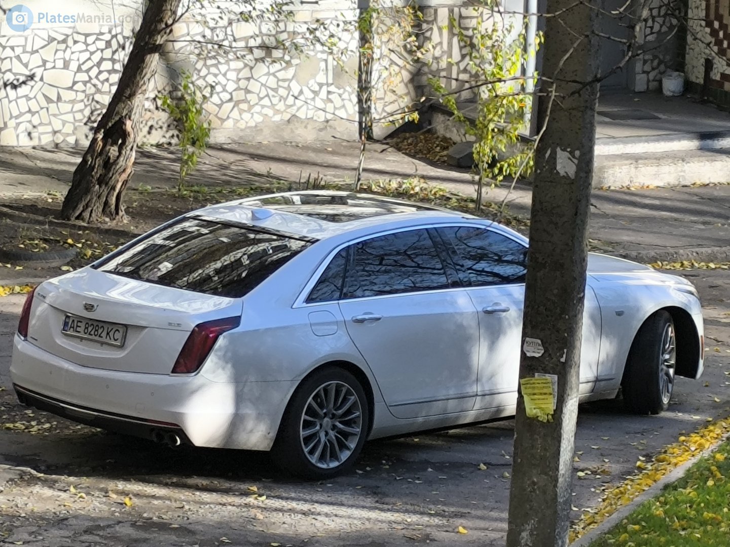 AE 8282 KC, Cadillac CT6 1st gen (Omega), 2016–2018