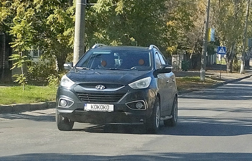 14   KOKOKO, Hyundai ix55 1st gen (EN), 2008–2012