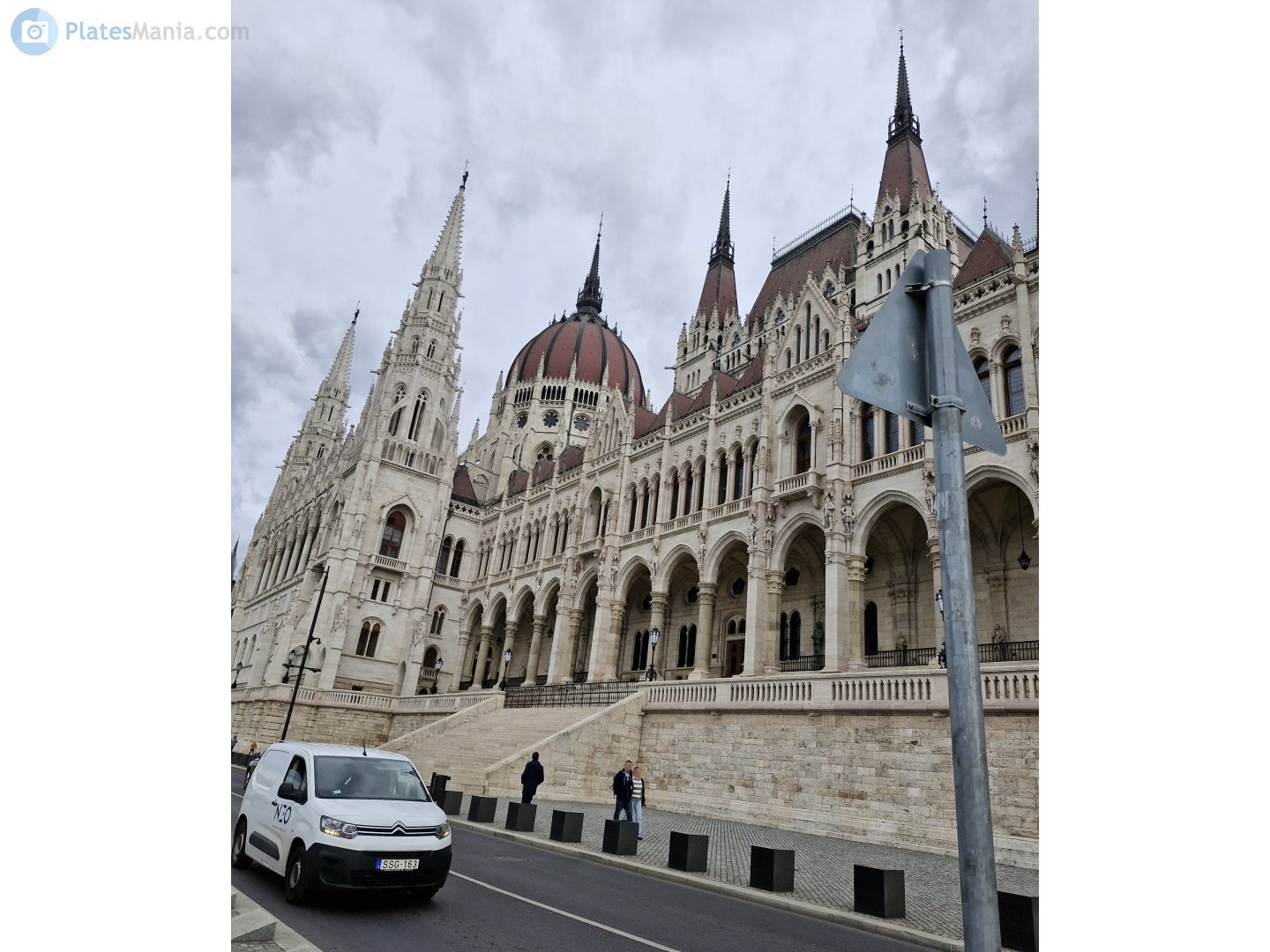 SSG-163, Citroёn Berlingo 3rd gen Van (K9), 2018–