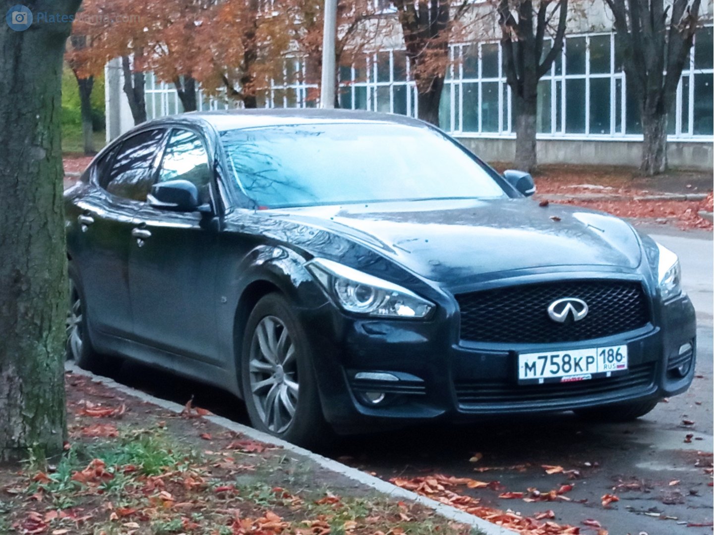 м 758 кр 186, Infiniti Q70/M-Series 4th gen Q70, facelift, 2014–2019