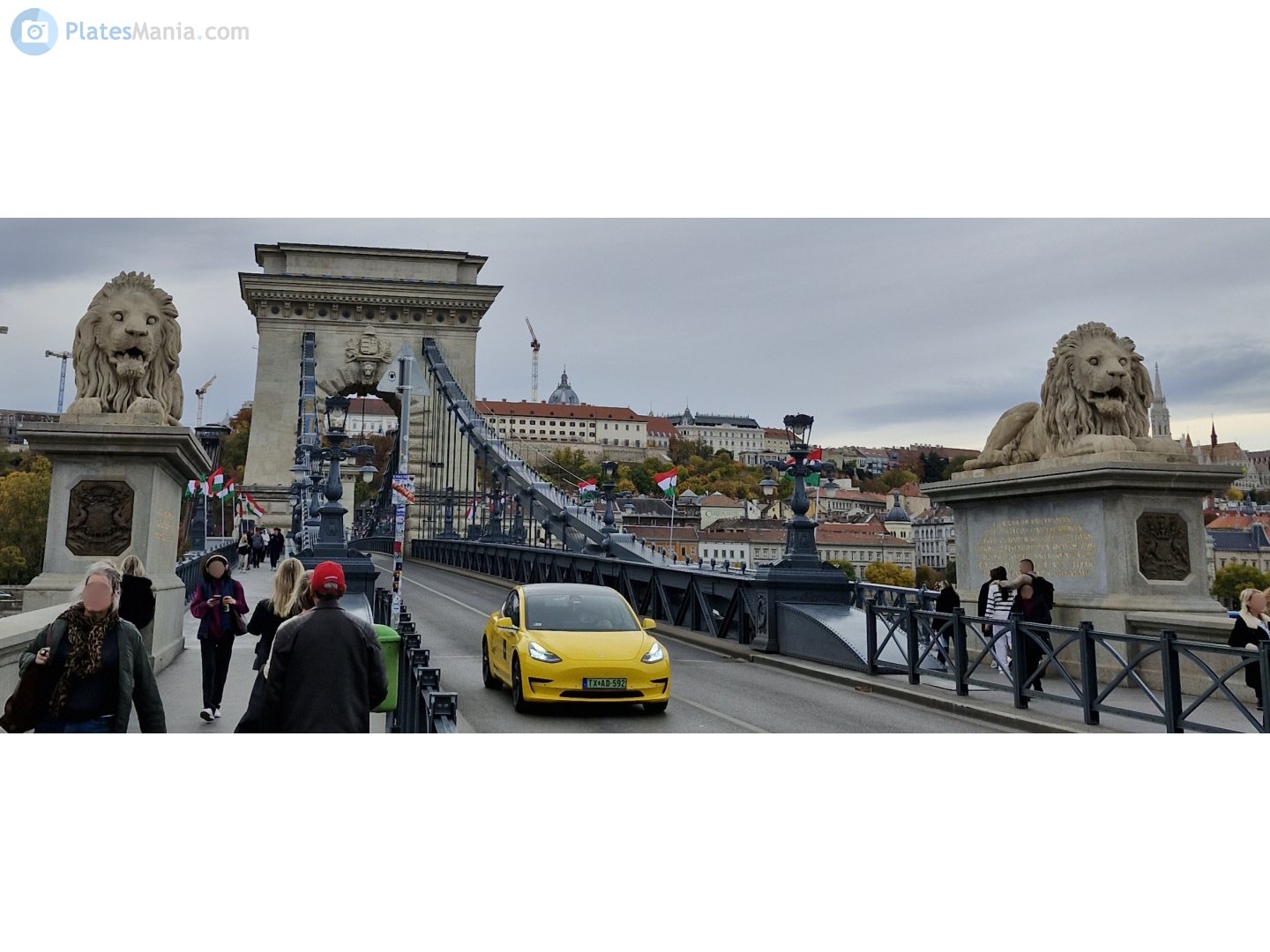 TX AD-592, Tesla Model 3 1st gen (5YJ3), 2017–2023