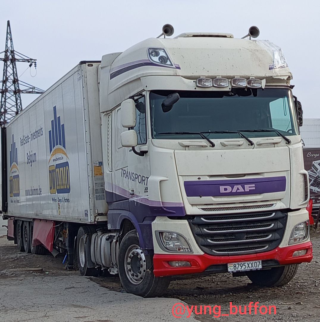 8795XX07, DAF XF 4th gen, 2013–2017