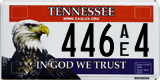 Tennessee, Specialty plates (AB 1234 / 1234 AB / 1AB 234 / 12 AB 34)