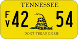 Tennessee, Specialty plates (AB 1234 / 1234 AB / 1AB 234 / 12 AB 34)