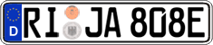German license plate, Electric vehicles