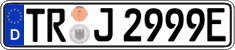German license plate, Electric vehicles