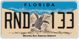 Florida, Specialty plates (XXX XXX)