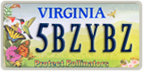 Virginia, Vanity Plates