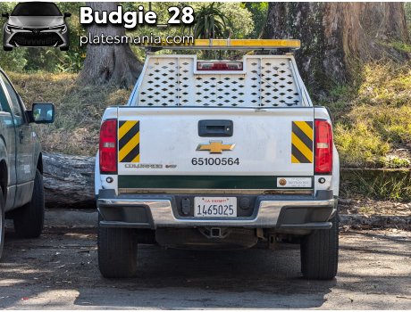 1465025, Chevrolet Colorado