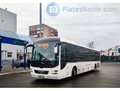 к439тм750, MAN Lion