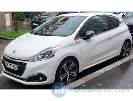 DX-297-WT, Peugeot 208