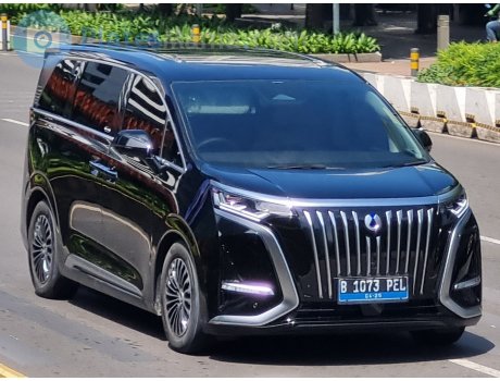 B 1073 PEL, Denza (Tengshi) D9