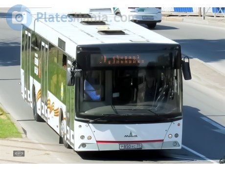 р850ус39, MAZ 203