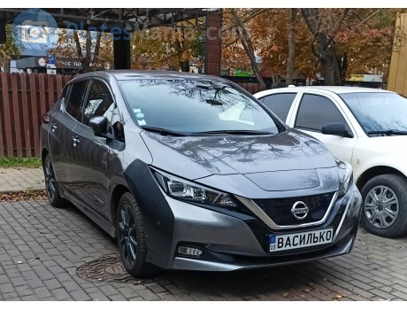 03 ВАСИЛЬКО, Nissan Leaf
