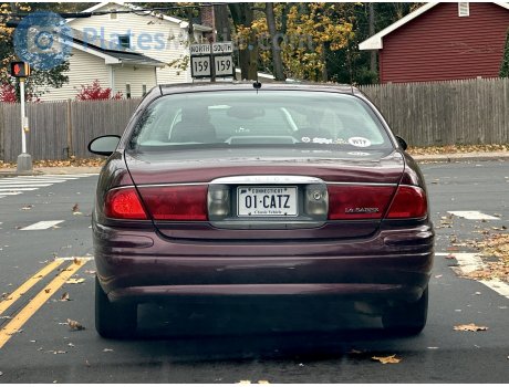 01-CATZ, Buick LeSabre