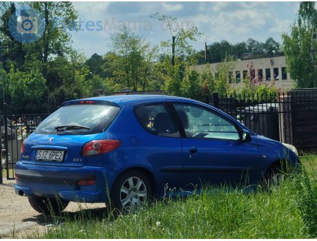 SJZ 6PE2, Peugeot 206