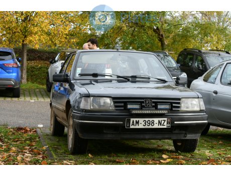 AM-398-NZ, Peugeot 309