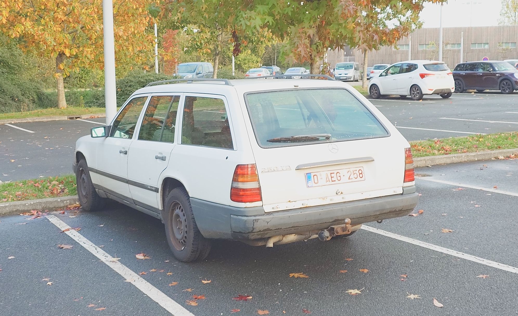 O-AEG-258, Mercedes-Benz E-Klasse 1st gen Wagon (S124), 1984­–1996