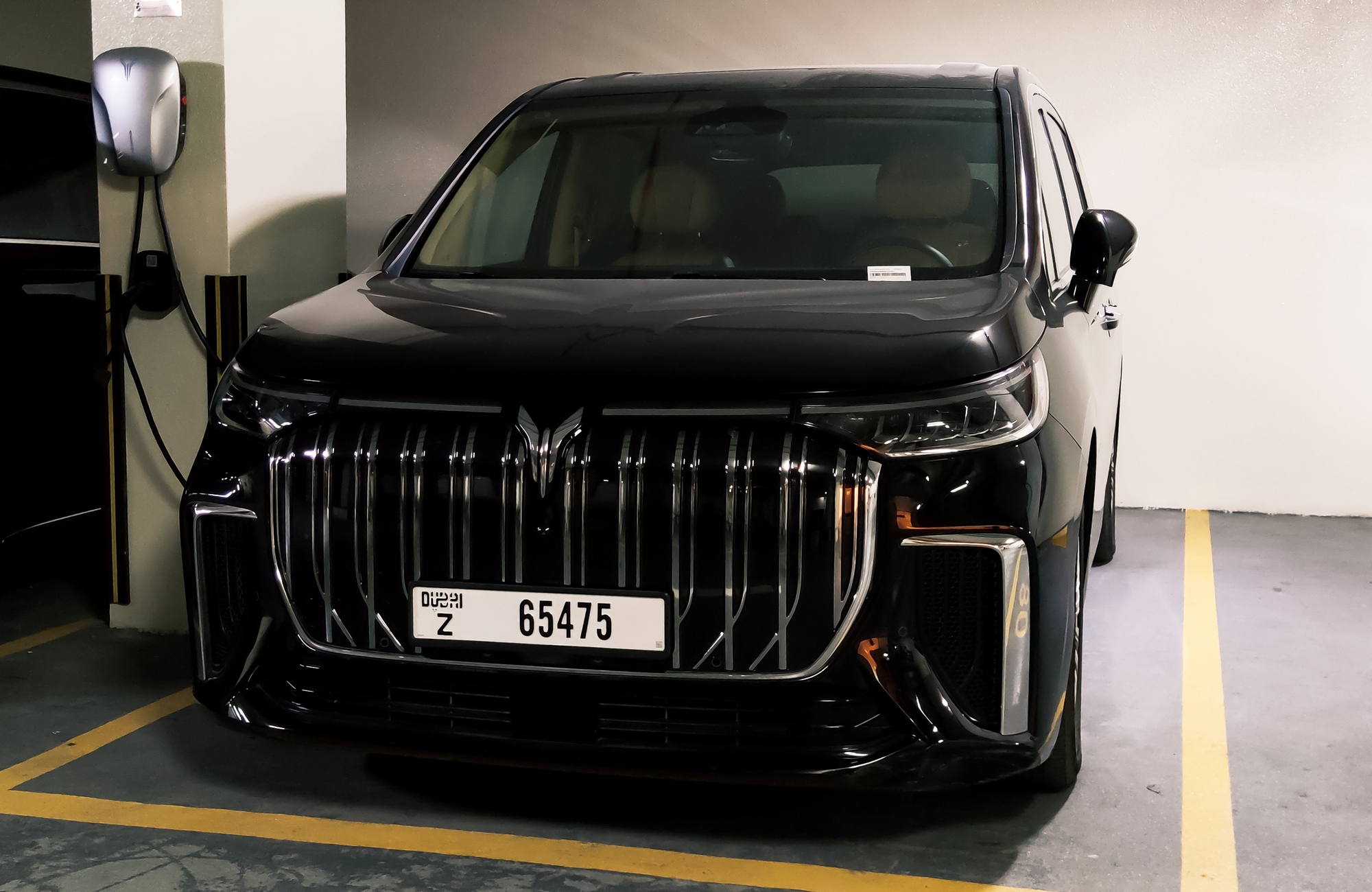 Z 65475, Voyah (Lantu) Dreamer (Dream/Mengxiangjia) 1st gen (ESSA), 2022–