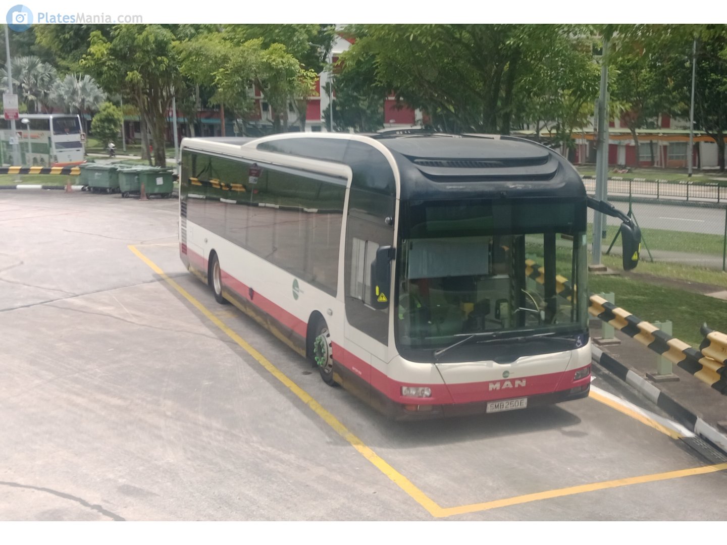 SMB 250 E, Gemilang NL323F 