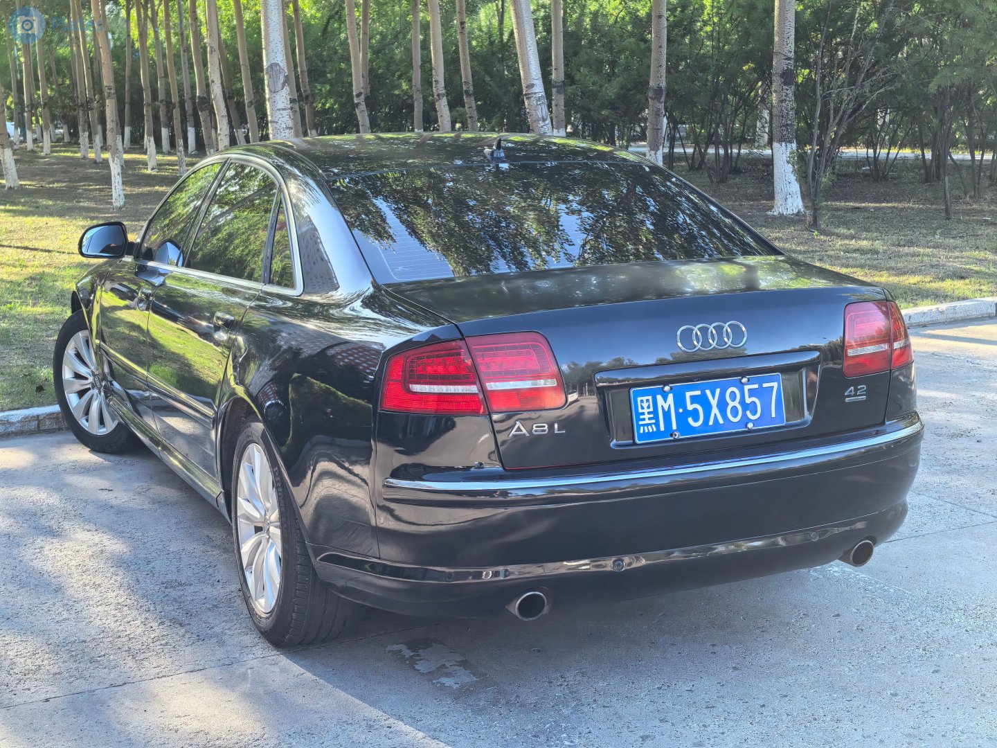 黑M·5X857, Audi A8 2nd gen (D3/4E2/4E8), 2002–2010