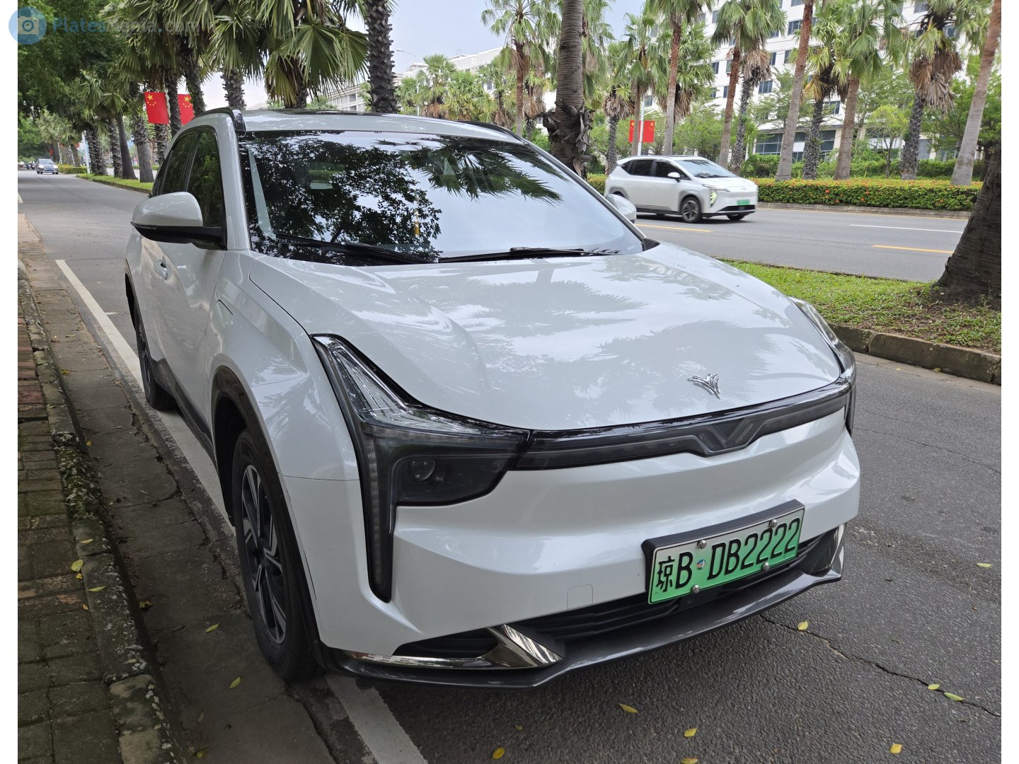 琼B·DB2222, Neta U 