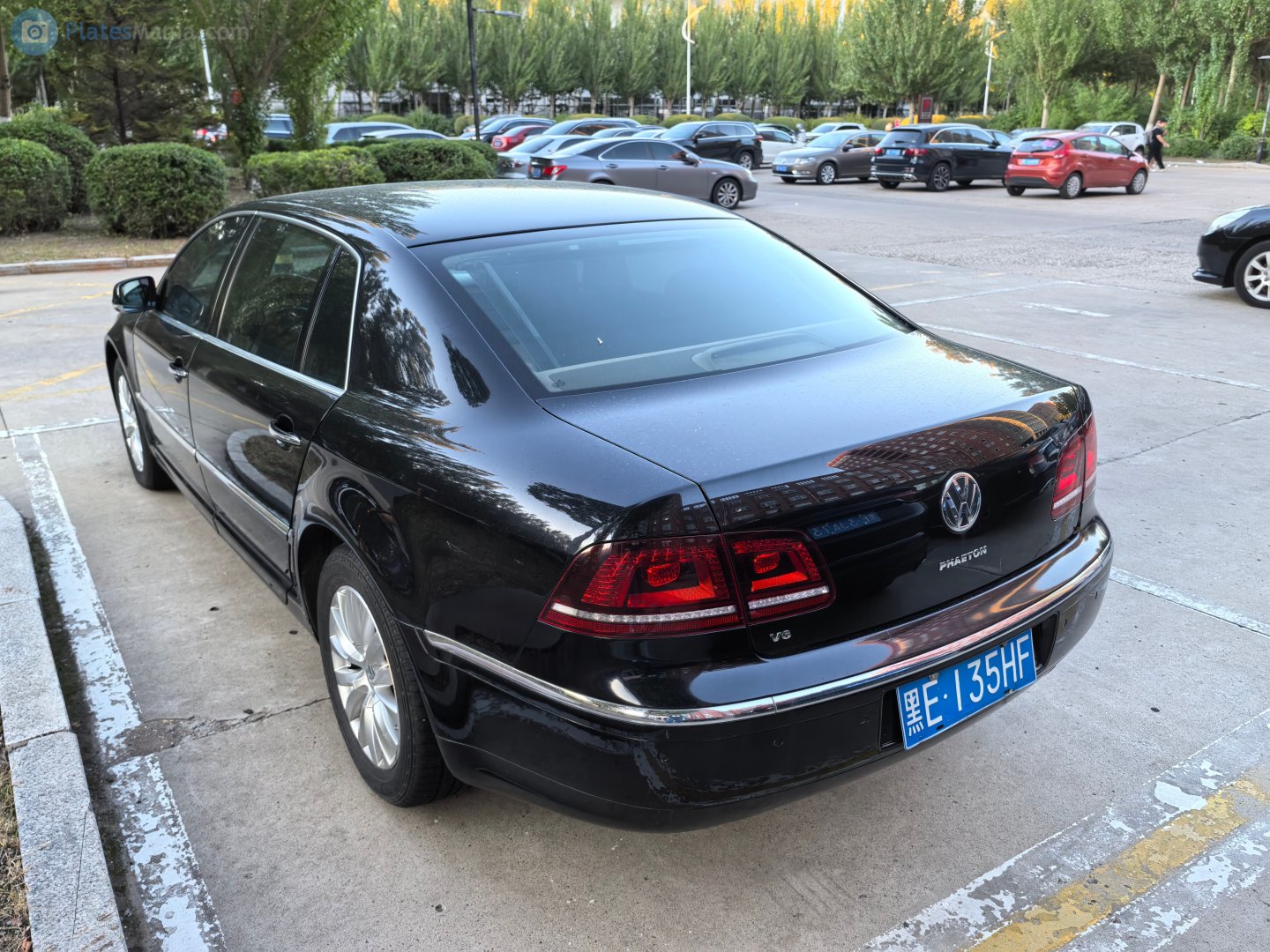 黑E·135HF, Volkswagen Phaeton 1st gen (3D), facelift, 2010–2016