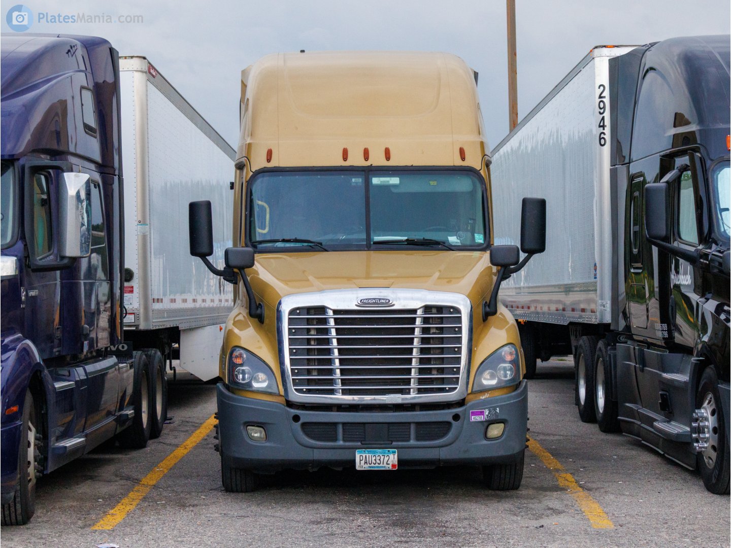 PAU3372, Freightliner Cascadia 1st gen Cascadia (2007–2013) / 2nd gen Cascadia Evolution (2012–2018)