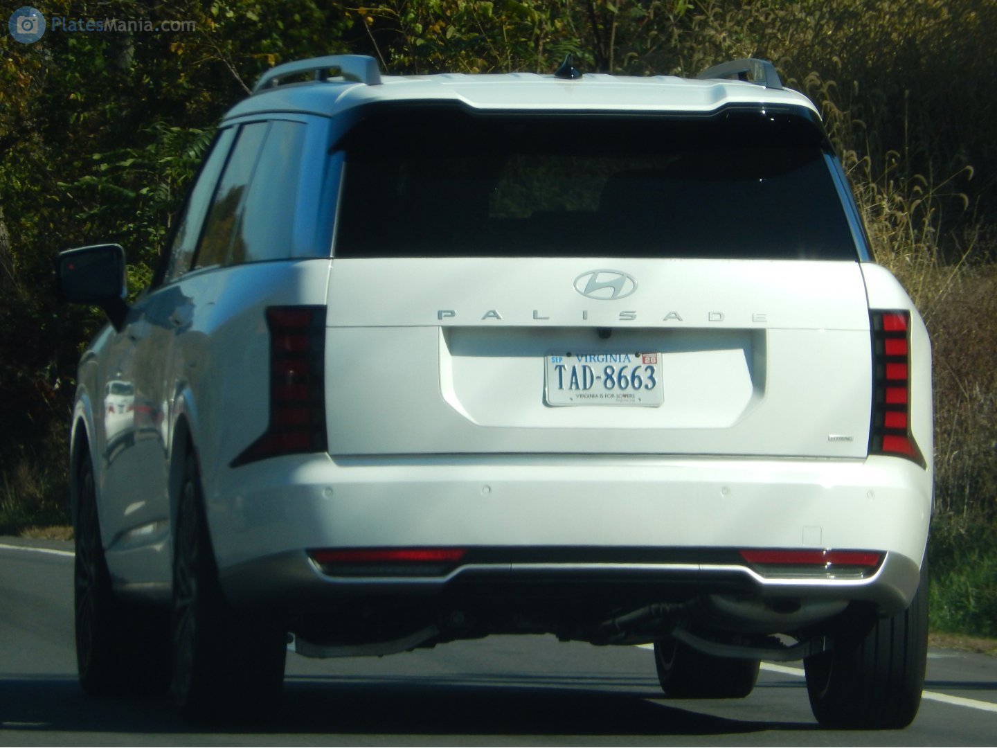 TAD-8663, Hyundai Palisade 2nd gen (LX3), 2025–