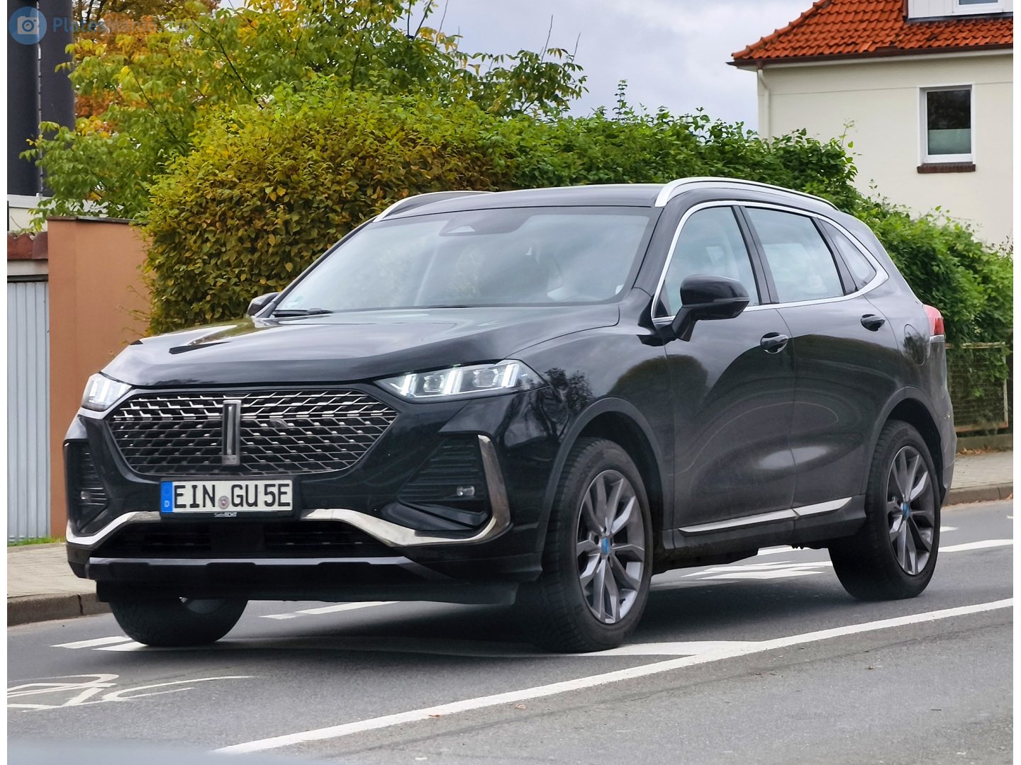 EIN GU 5 E, WEY 05 (Mocha/Coffee 01) 