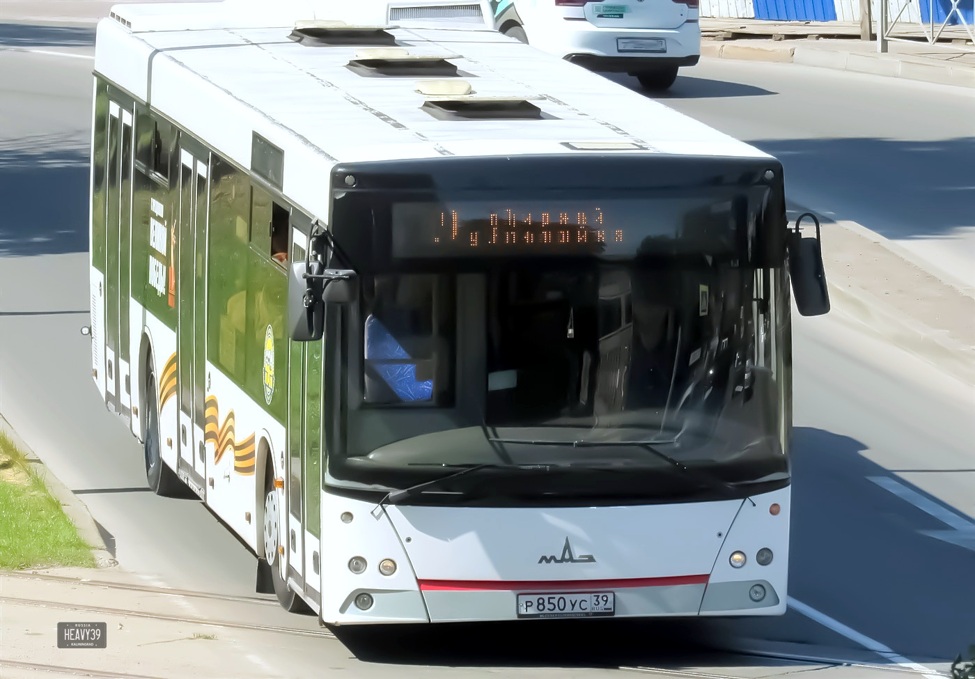 р 850 ус 39, MAZ 203 1st gen, 2006–2022
