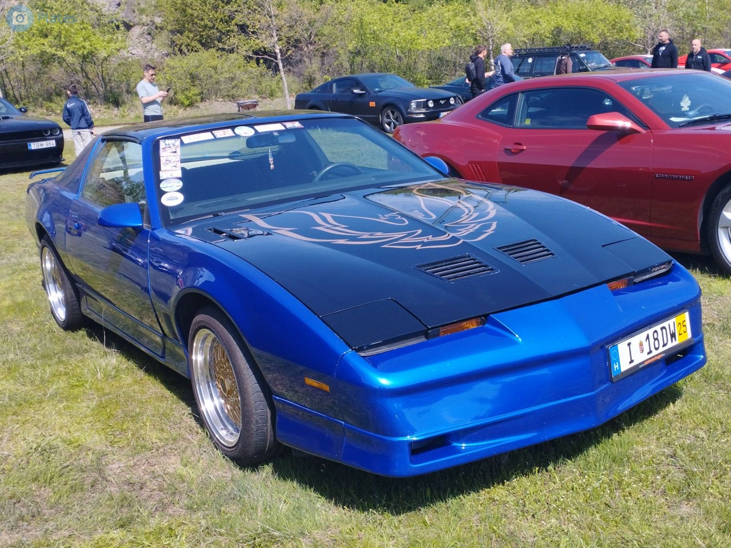I 18DW, Pontiac Firebird 3rd gen Coupé (87; F-body), 1981–1990