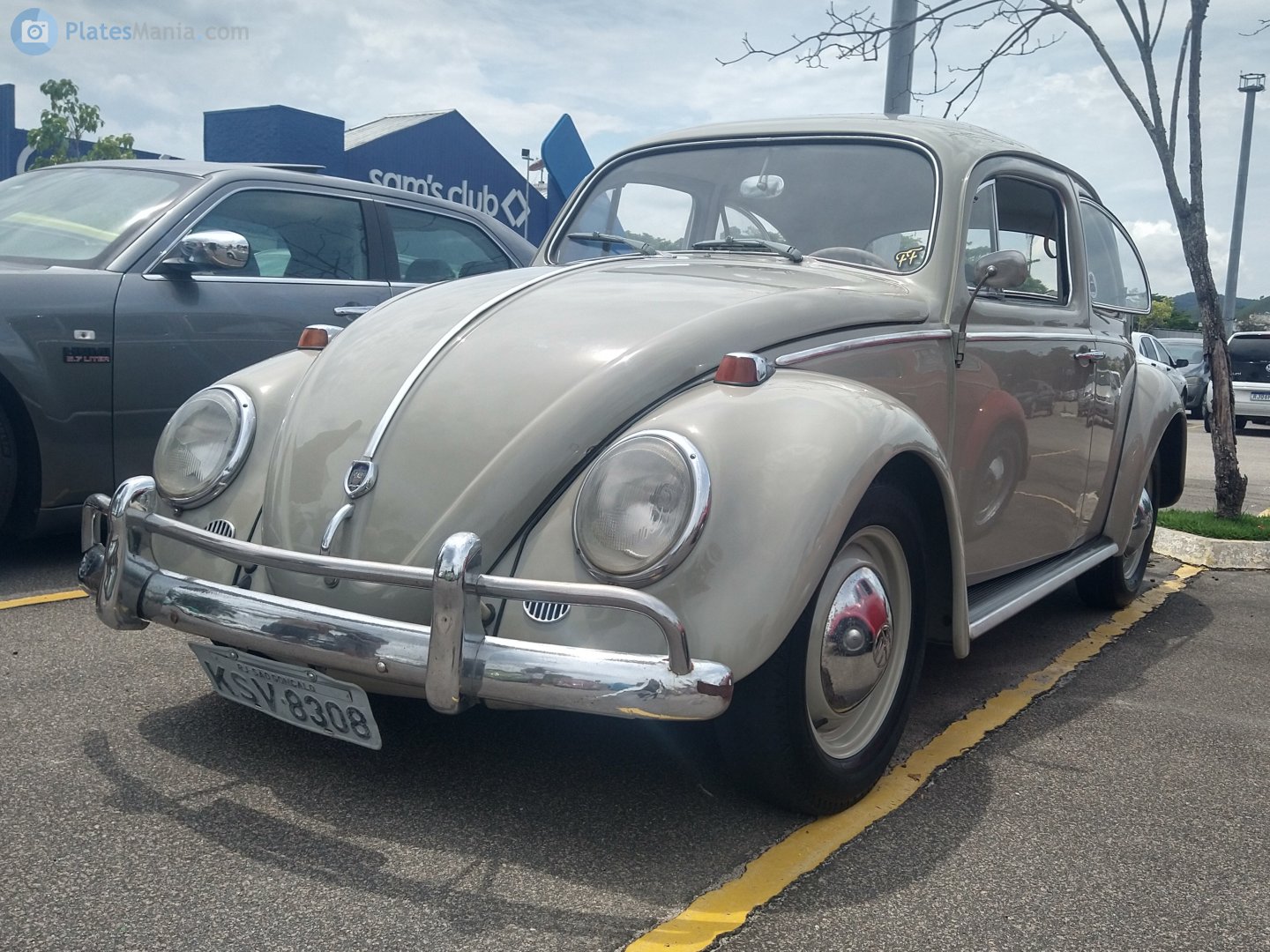 KSV-8308, Volkswagen Beetle 1st gen Sedan (Type 1), 1938­–2003