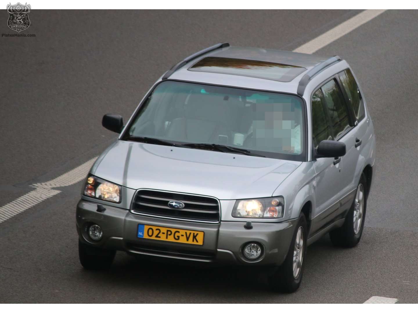 02-PG-VK, Subaru Forester 2nd gen (SG), 2002–2005