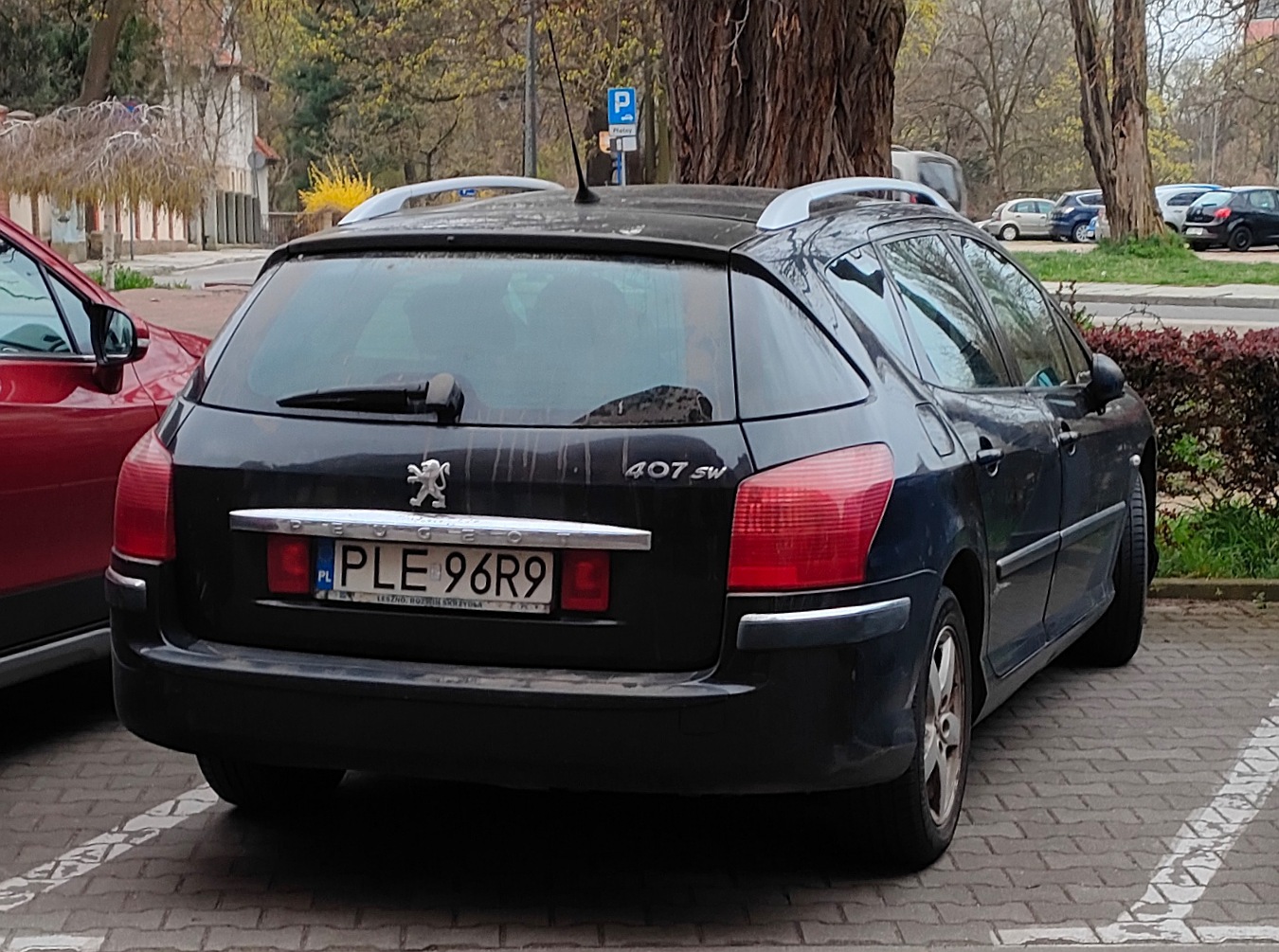 PLE 96R9, Peugeot 407 1st gen SW Wagon (D22), 2004–2010