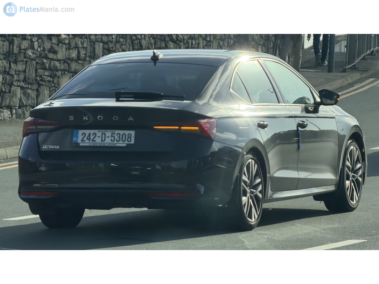 242-D-5308, Skoda Octavia 4th gen Liftback (NX3), facelift, 2024–