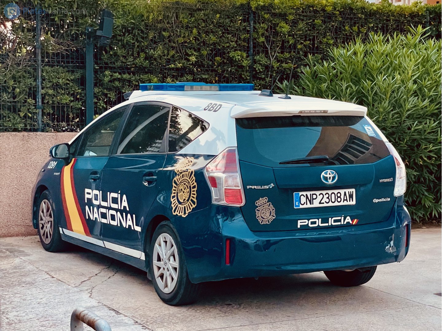 CNP 2308 AW, Toyota Prius 3rd gen α / v / Plus Minivan (ZVW40/ZFW40), 2011–2021