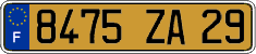 French license plate, FNI
