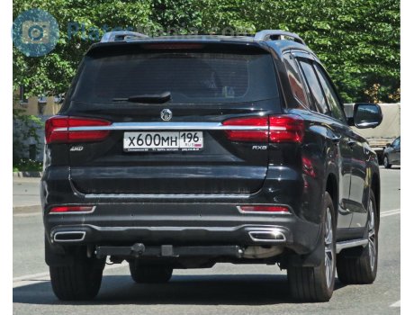 х600мн196, MG RX8