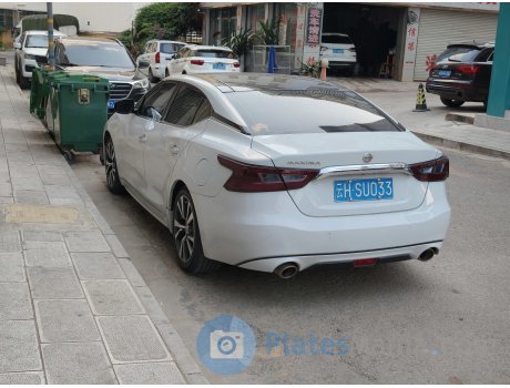 云H·SU033, Nissan Maxima