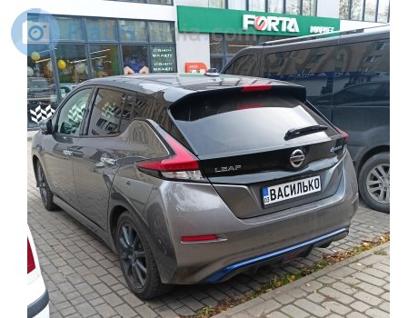 03 ВАСИЛЬКО, Nissan Leaf