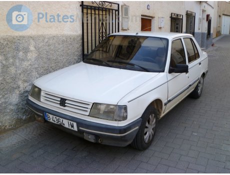 B 4364 IM, Peugeot 309