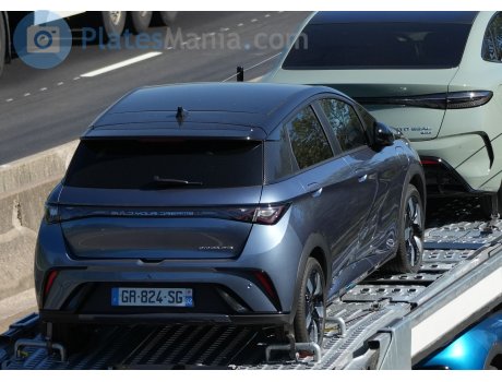 GR-824-SG, BYD Dolphin / Haitun