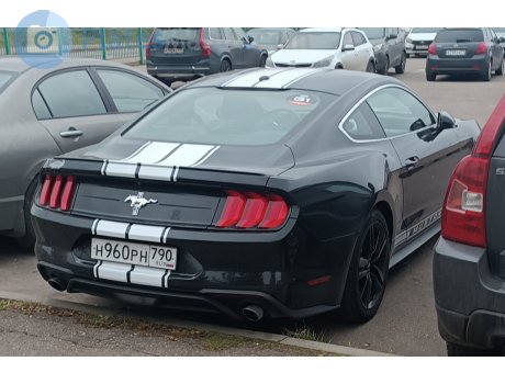 н960рн790, Ford Mustang