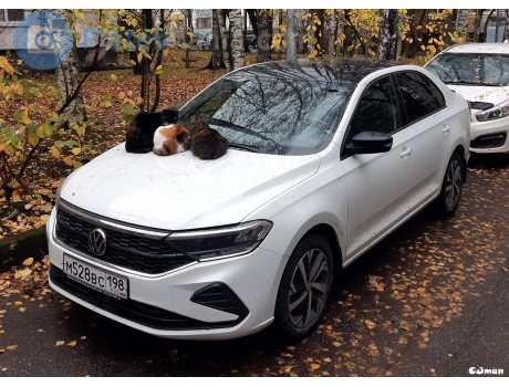 м528вс198, Volkswagen Polo