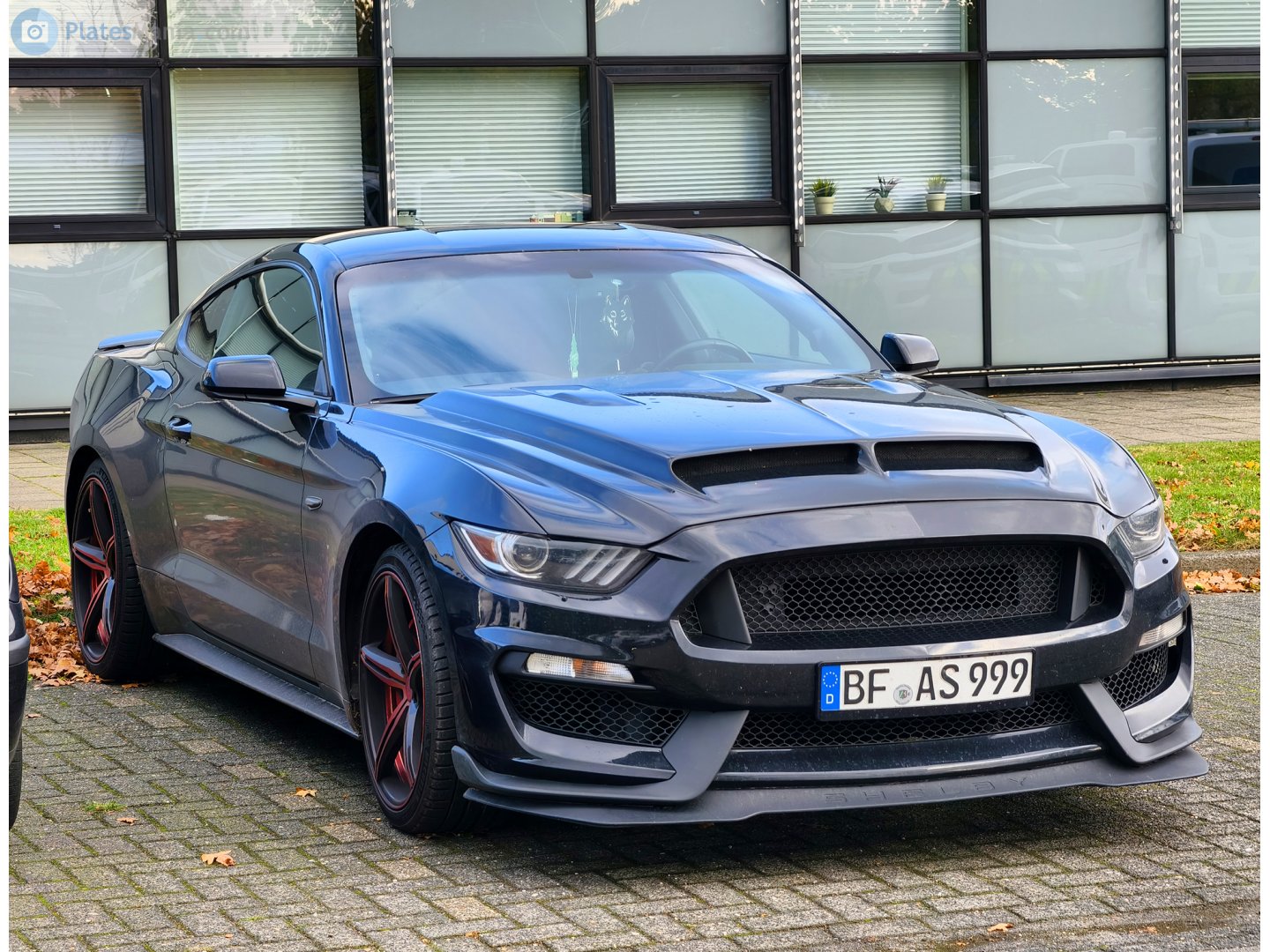 BF AS 999, Ford Mustang 