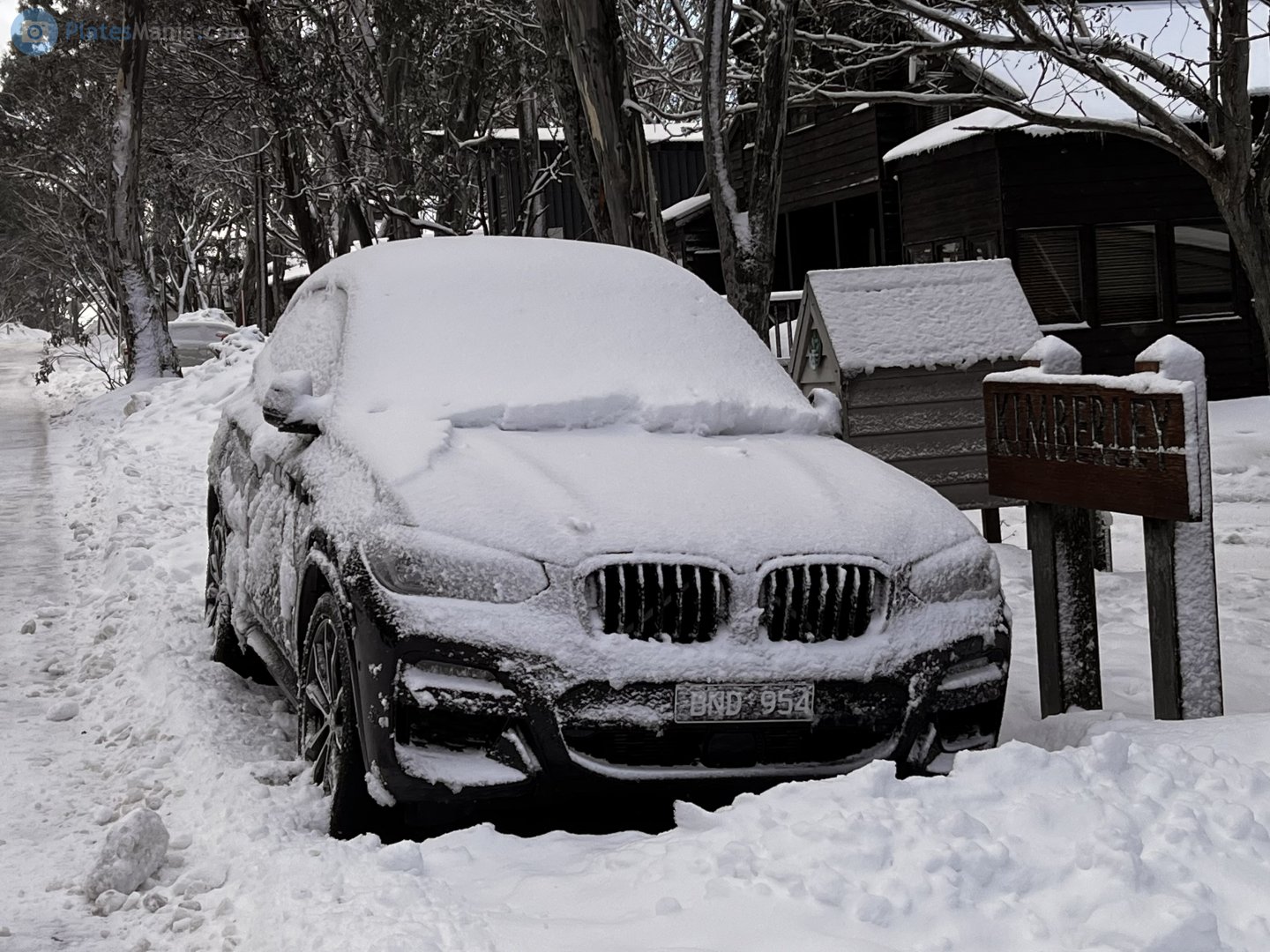 BND-954, BMW X3 3rd gen (G01), 2017–2021