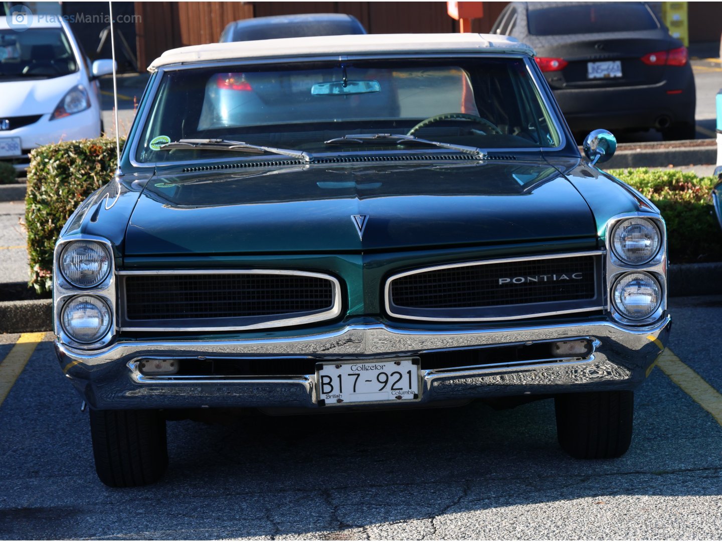 B17-921, Pontiac GTO 1st gen (A-body), facelift, 1966–1967